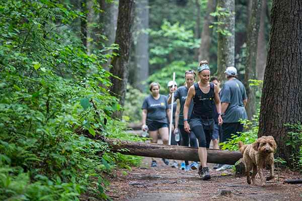 group hike through woods with dog