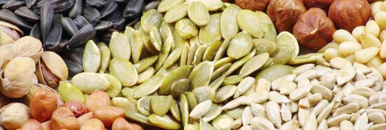 Assorted nuts and seeds, including pumpkin seeds, sunflower seeds and hazelnuts