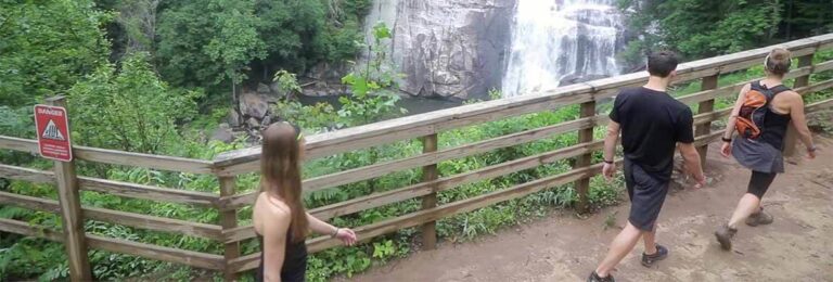 Guests hiking past a waterfall overlook on a forest trail