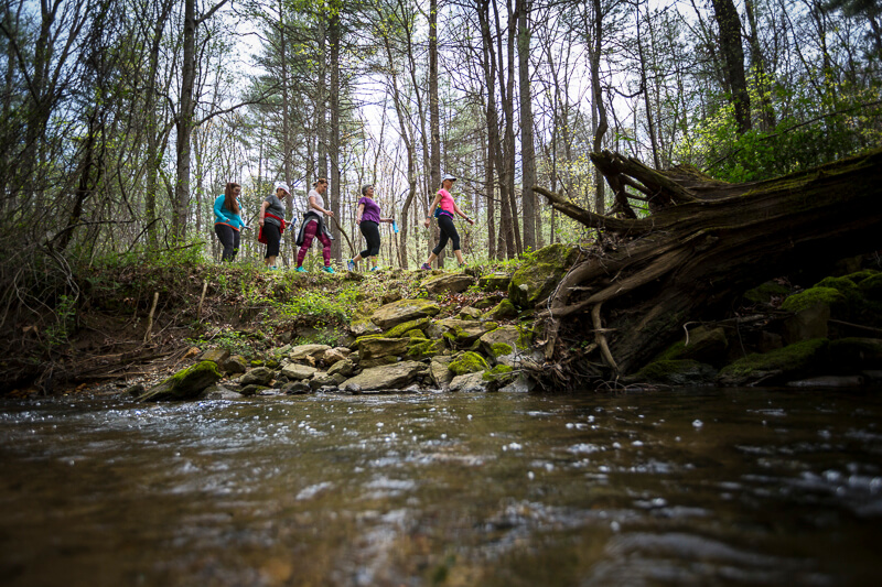Skyterra Wellness Retreat in the Asheville Citizen-Times