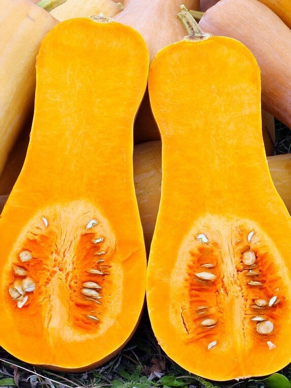 Roasted Butternut Squash Puree