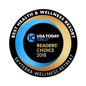 Skyterra Wellness Retreat - Best Health & Wellness Resort 2018