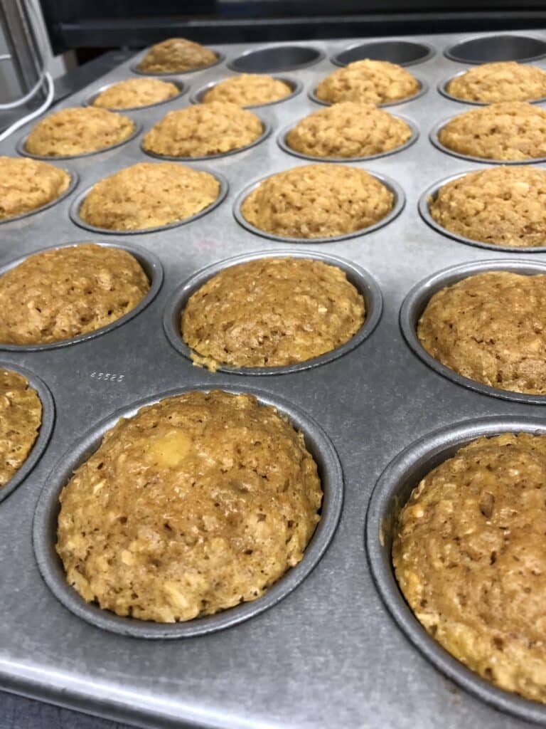 Pumpkin Oat Muffins