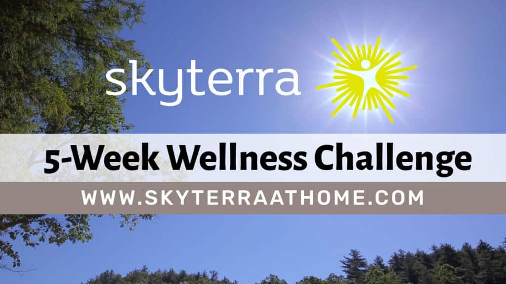 New Year's Wellness Challenge