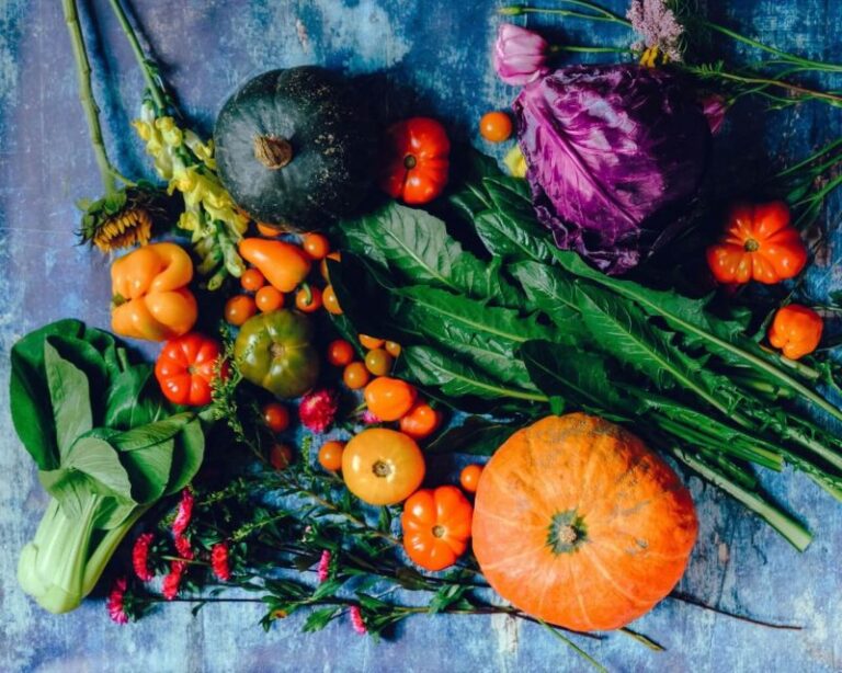 Assorted fresh vegetables including pumpkins, tomatoes, cabbage and leafy greens