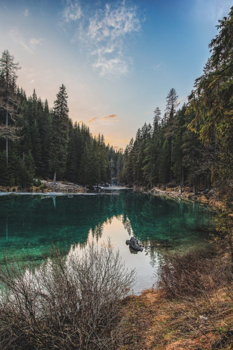 Calm mountain lake surrounded by evergreen forest
