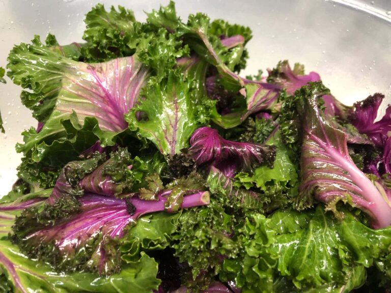 Massaged purple and green kale leaves on a plate
