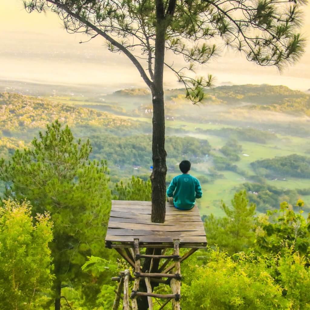 Man in treehouse alone