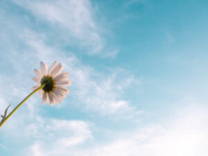 Positivity