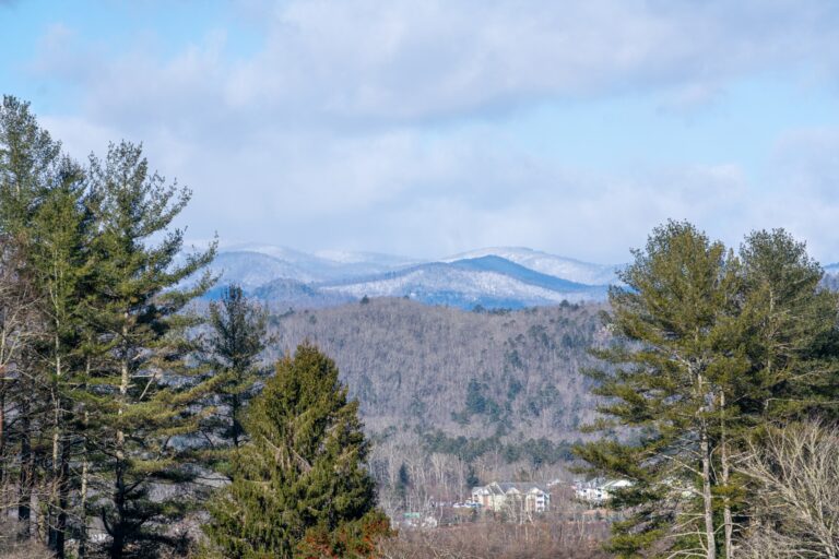 Blue Ridge Mountains with a light dusting of snow beyond pine trees