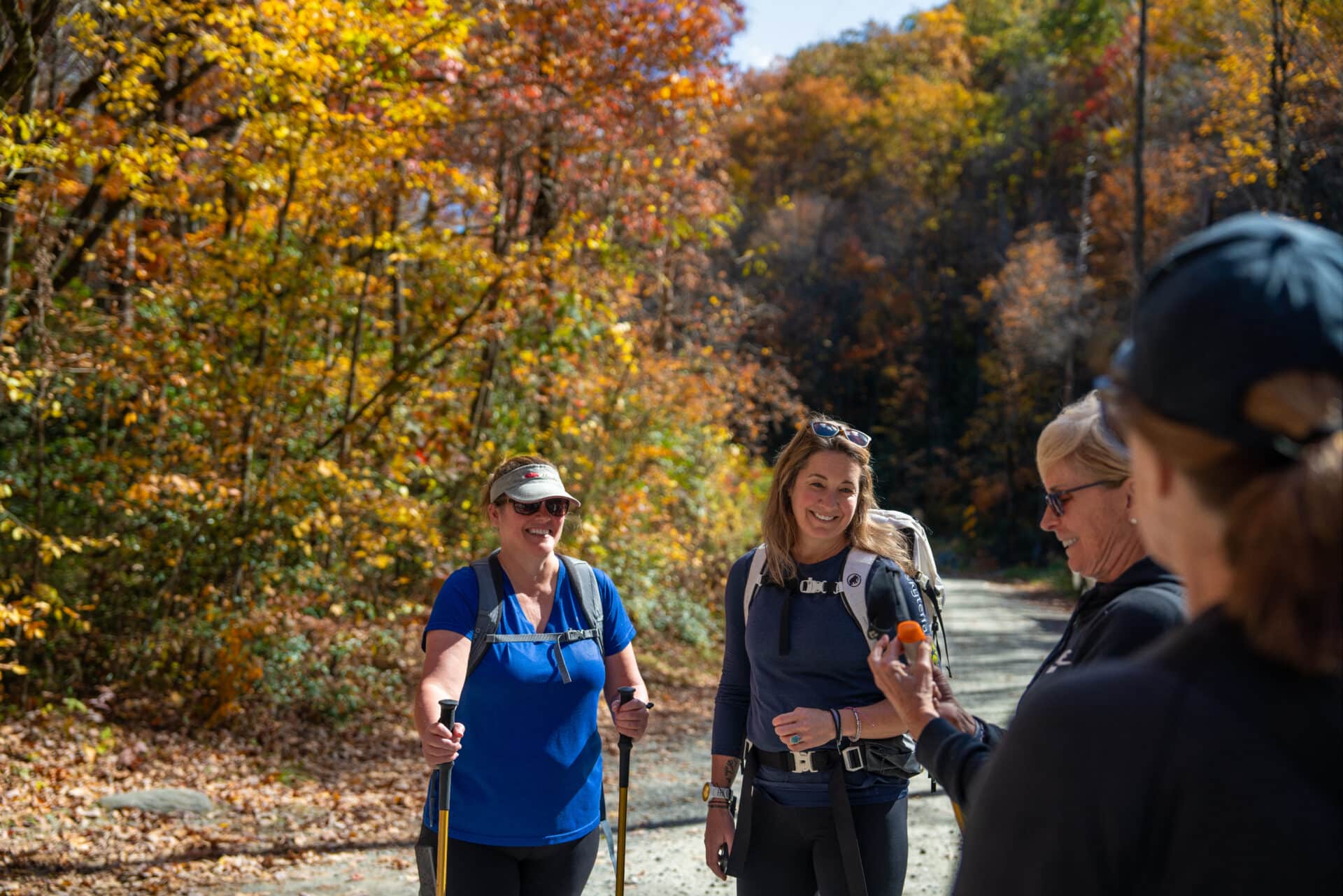 Guided Mountain Hike
