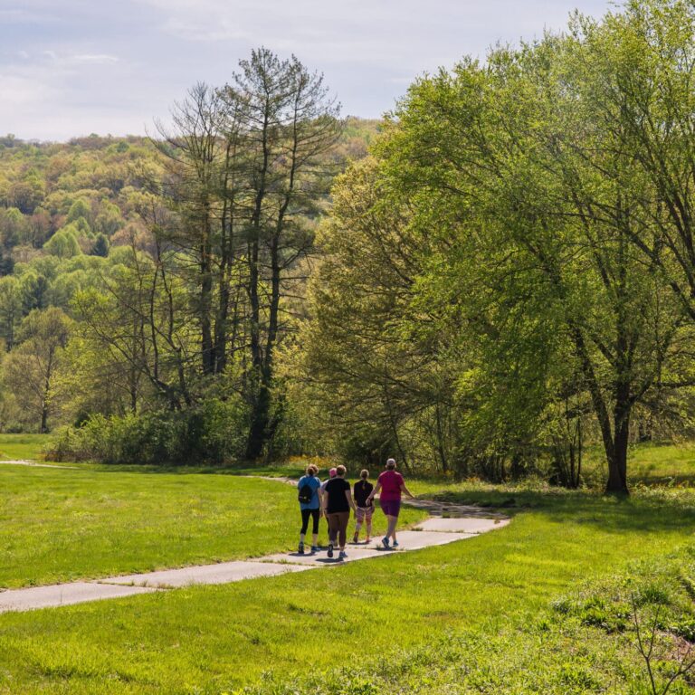 Guests walking a path through a green meadow toward the trees