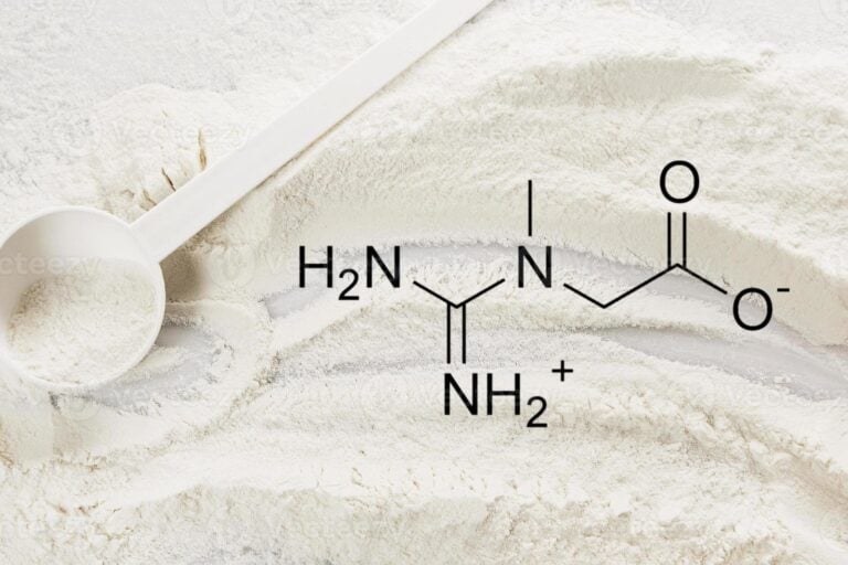Scoop of creatine monohydrate powder with its chemical formula
