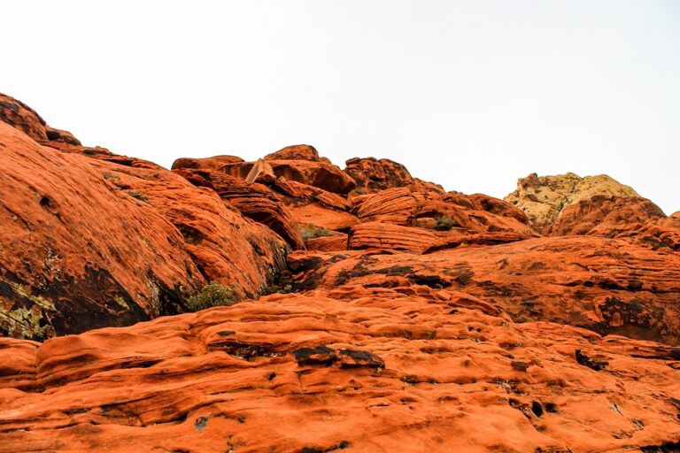 Red rock formations under a pale sky