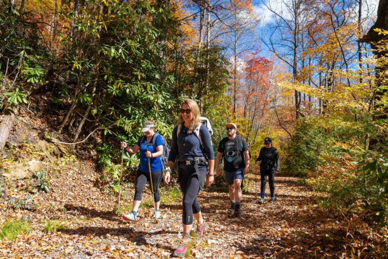 Guests hiking a mountain trail through fall color