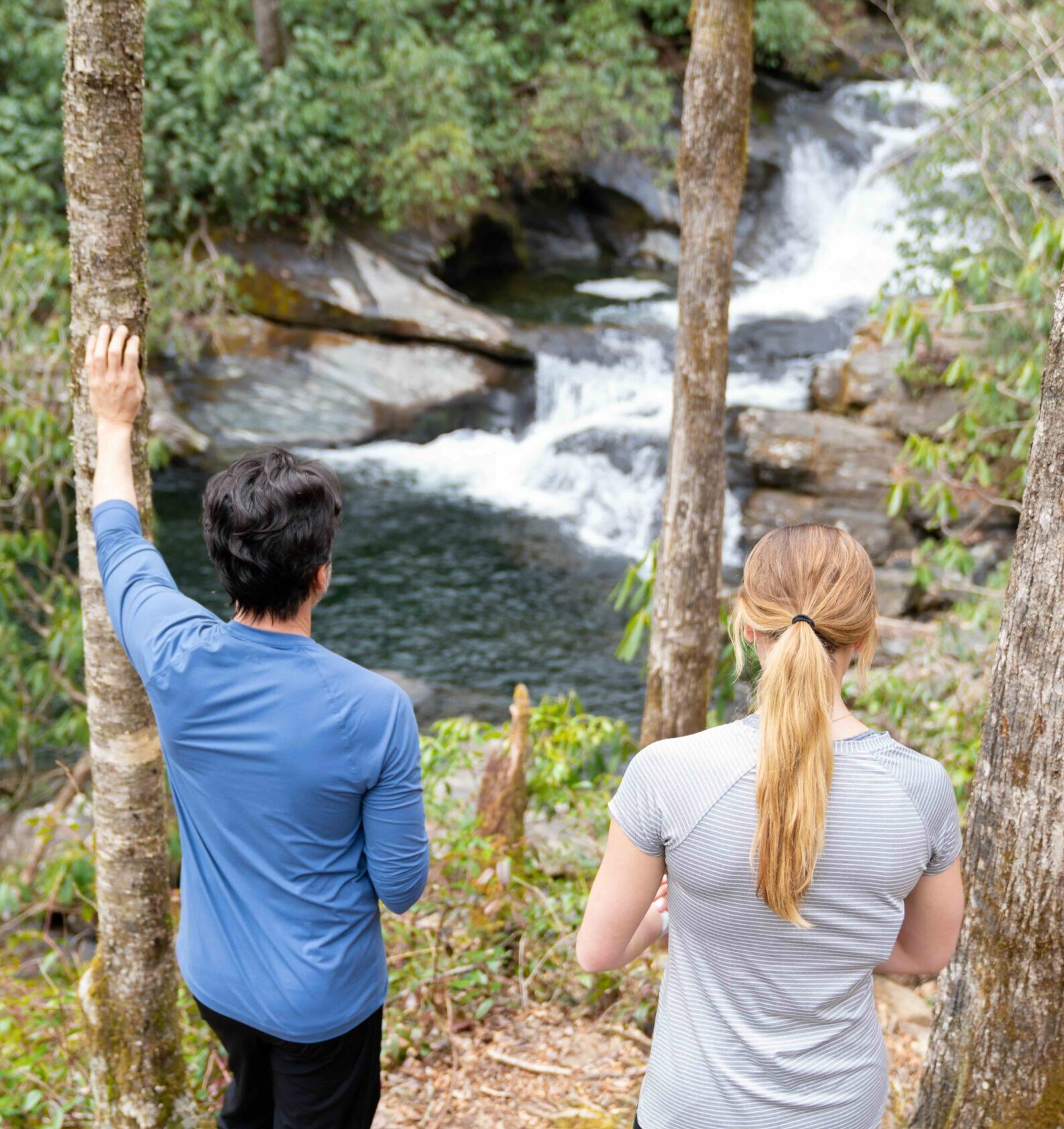 Trailblazers hiking along lush green mountain trails in spring